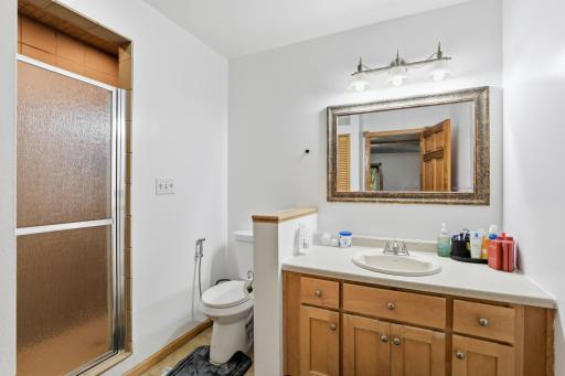 Lower level bathroom witha shower-18546-85th-Ave-N-36.jpg