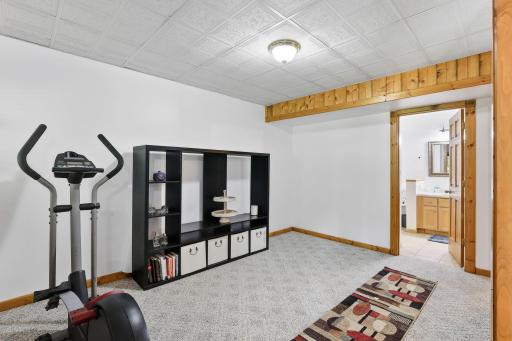 Lower level entertainment area-18546-85th-Ave-N-35.jpg