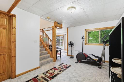 Lower-level entertainment area -18546-85th-Ave-N-34.jpg