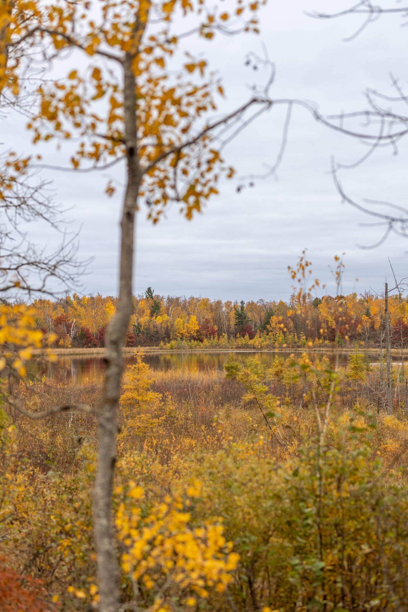 6300 Boot Lake - Fall Colors-13.jpg