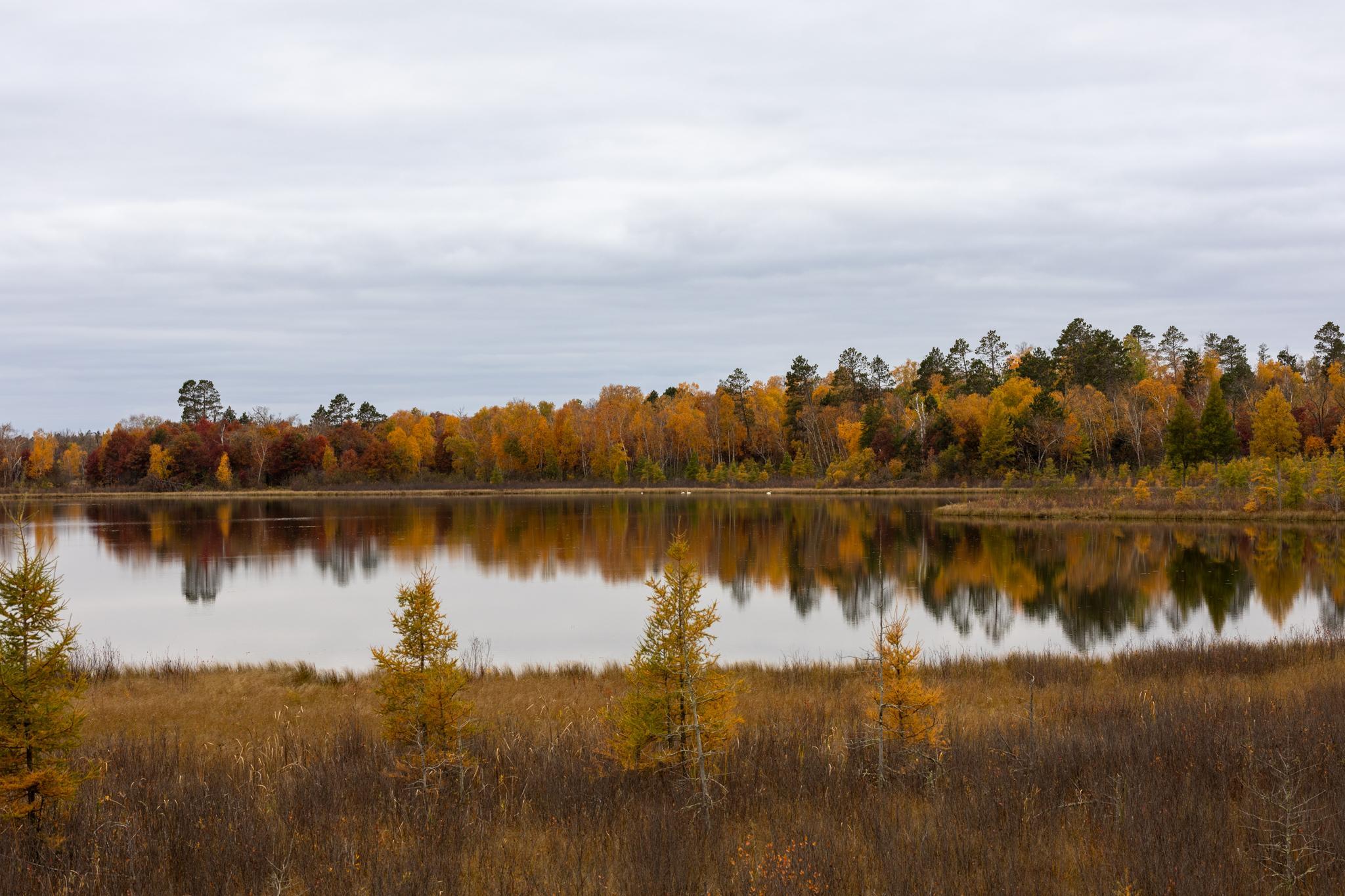 6300 Boot Lake - Fall Colors-19.jpg