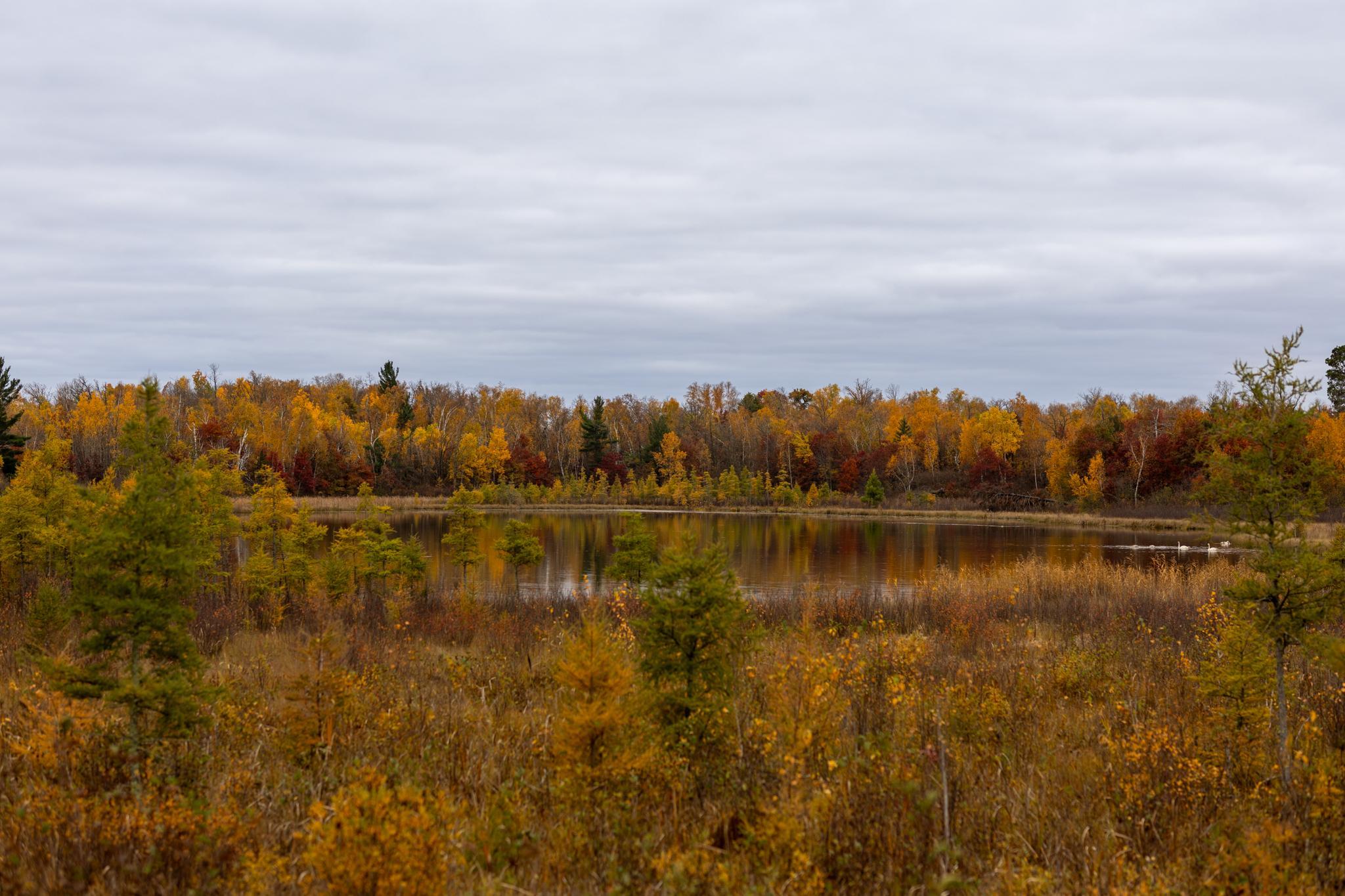 6300 Boot Lake - Fall Colors-15.jpg