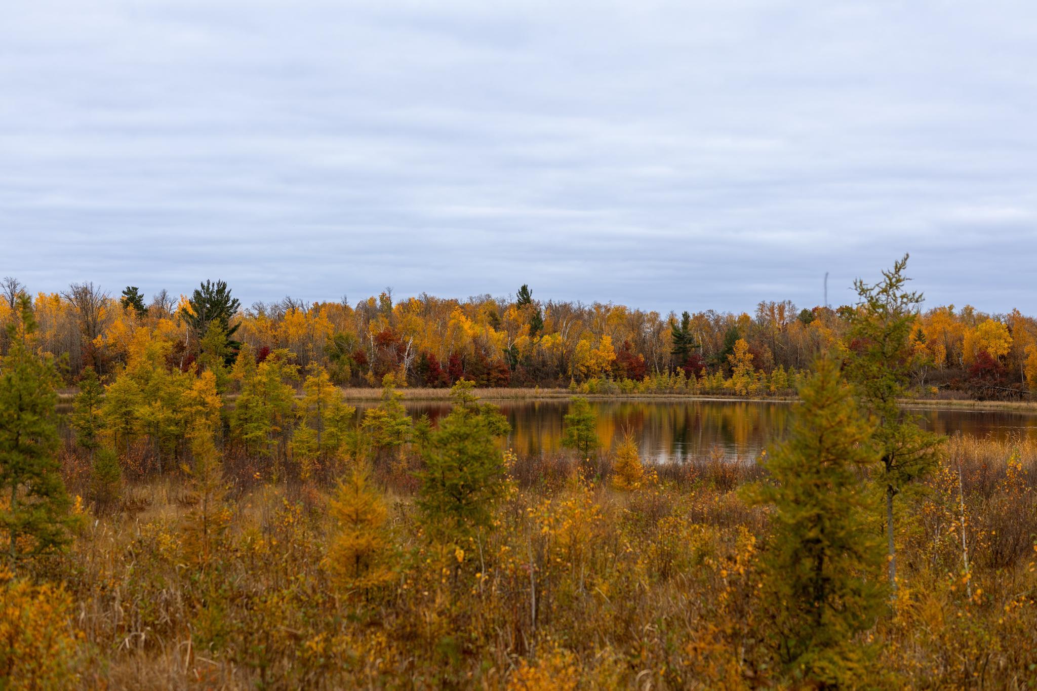 6300 Boot Lake - Fall Colors-14.jpg