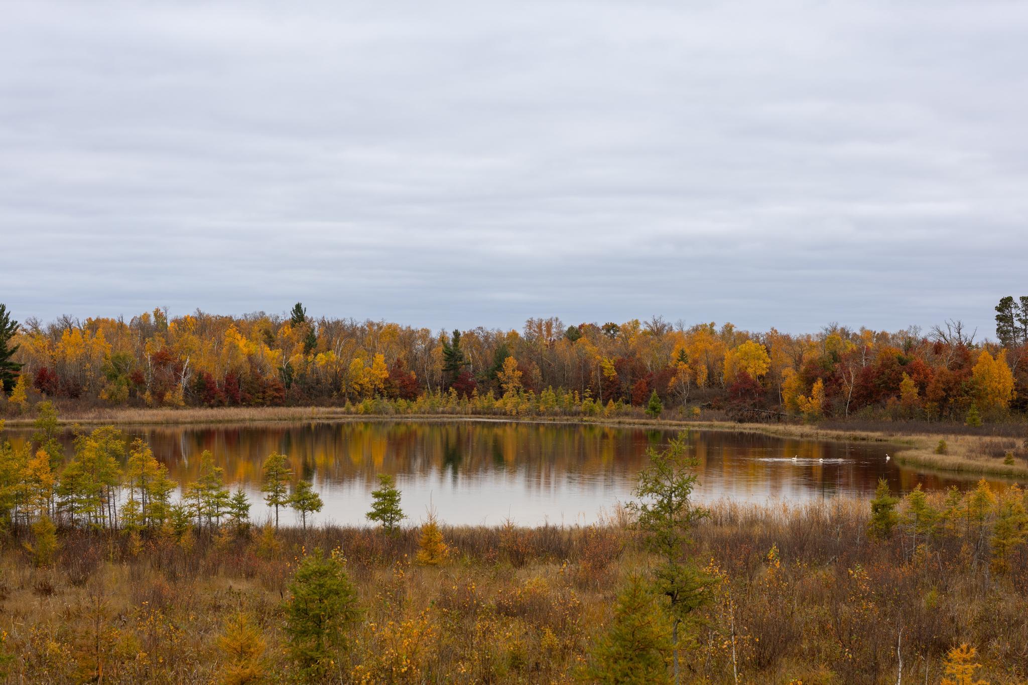 6300 Boot Lake - Fall Colors-18.jpg