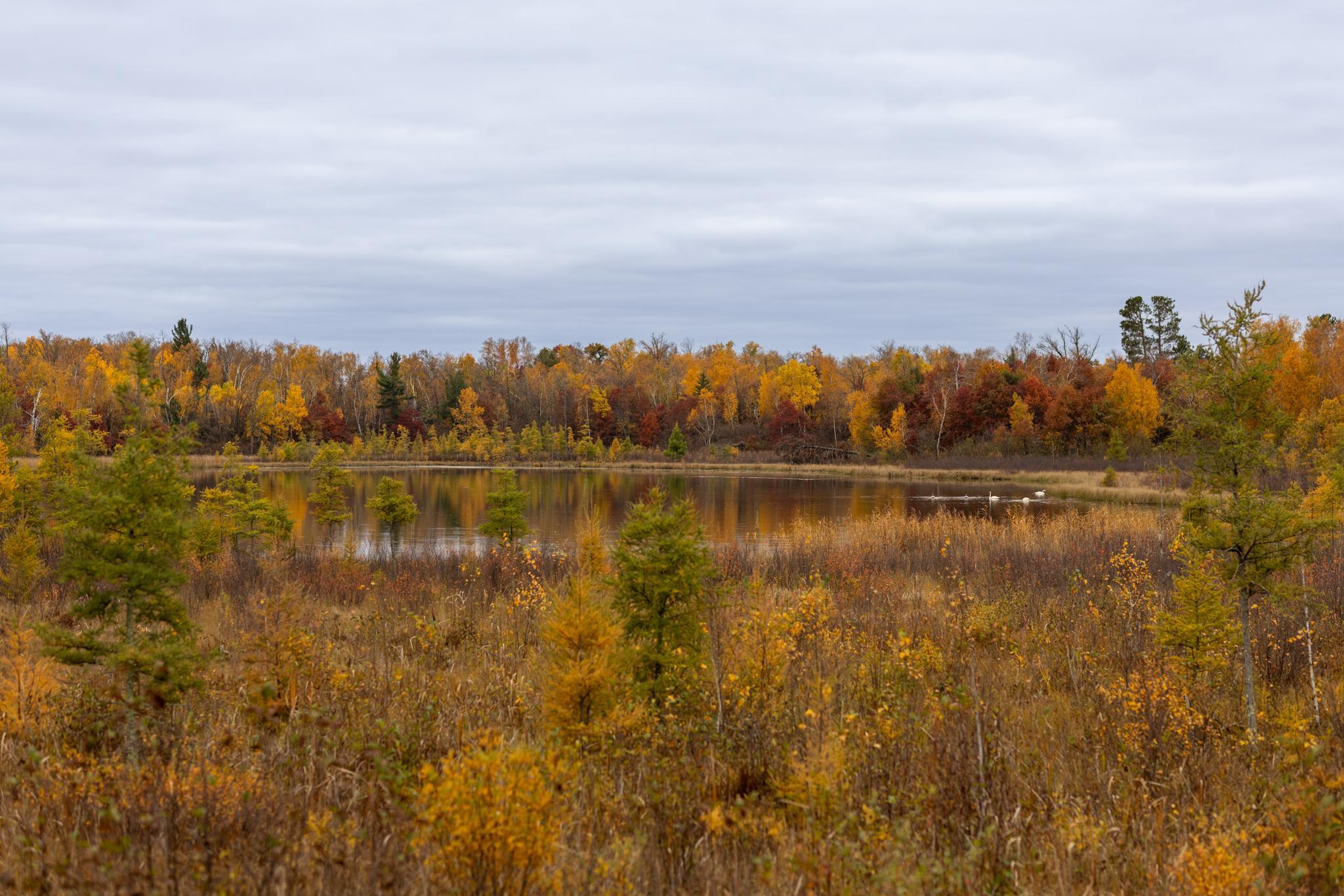 6300 Boot Lake - Fall Colors-17.jpg