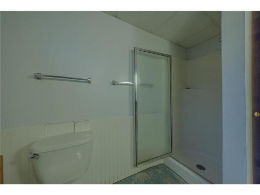 Basement Bathroom