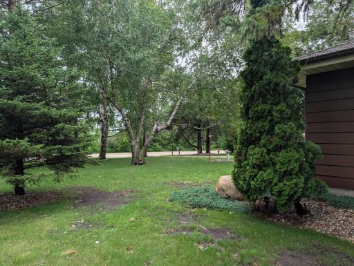 Front Lawn
