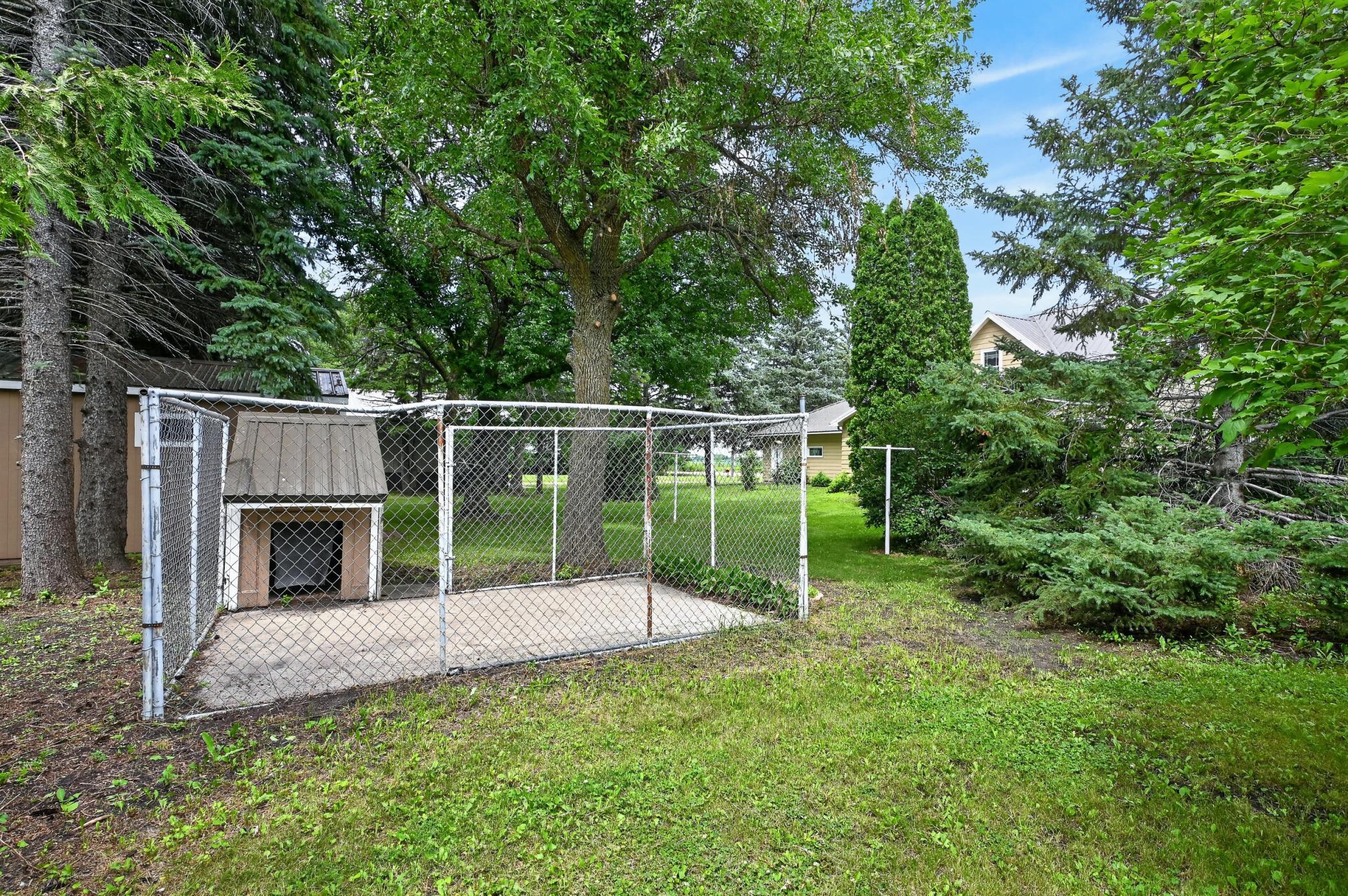 Dog Kennel
