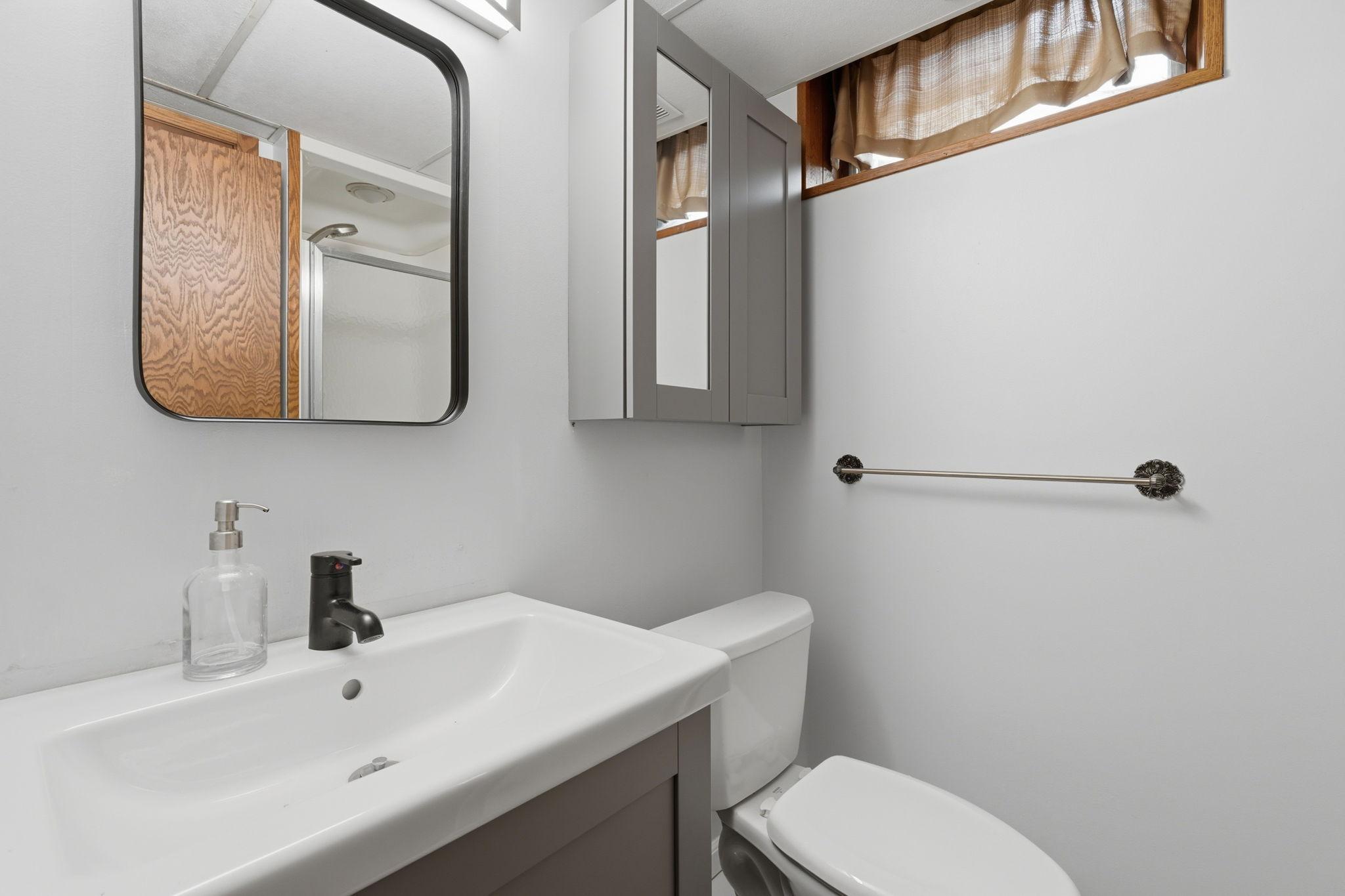 Lower Level 3/4 Bathroom