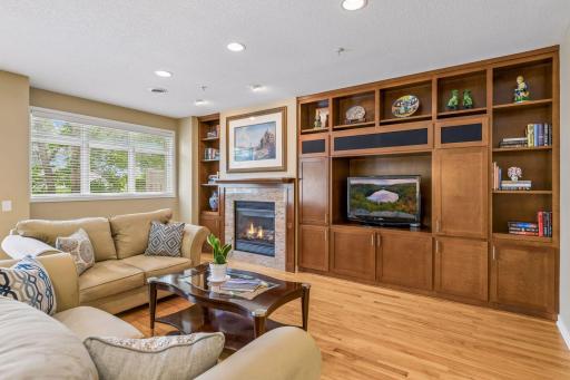 A beautiful wall of custom-made wood cabinetry anchors the great room and is in immaculate condition.