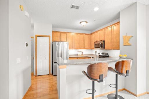 1246 Chateau Avenue, 409, Saint Paul, MN 55109