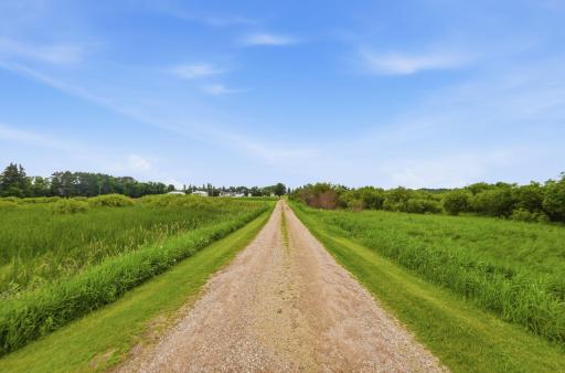 Years of thoughtful land management have created a diverse landscape of mature timber, native grasses, waterways, food plots, and cover that supports exceptional deer, turkey, waterfowl, and other wildlife.