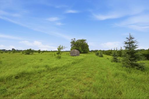 Years of thoughtful habitat management have created an exceptional environment where wildlife thrives