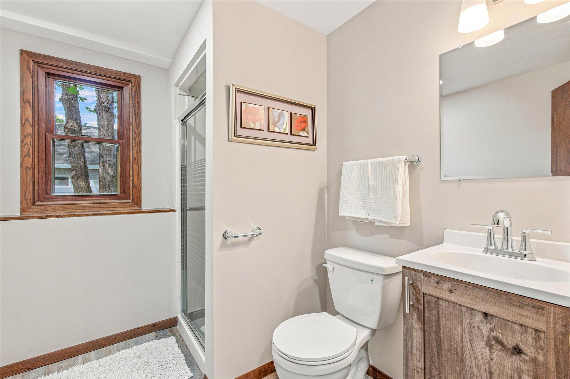 Lower Level Bathroom with Shower