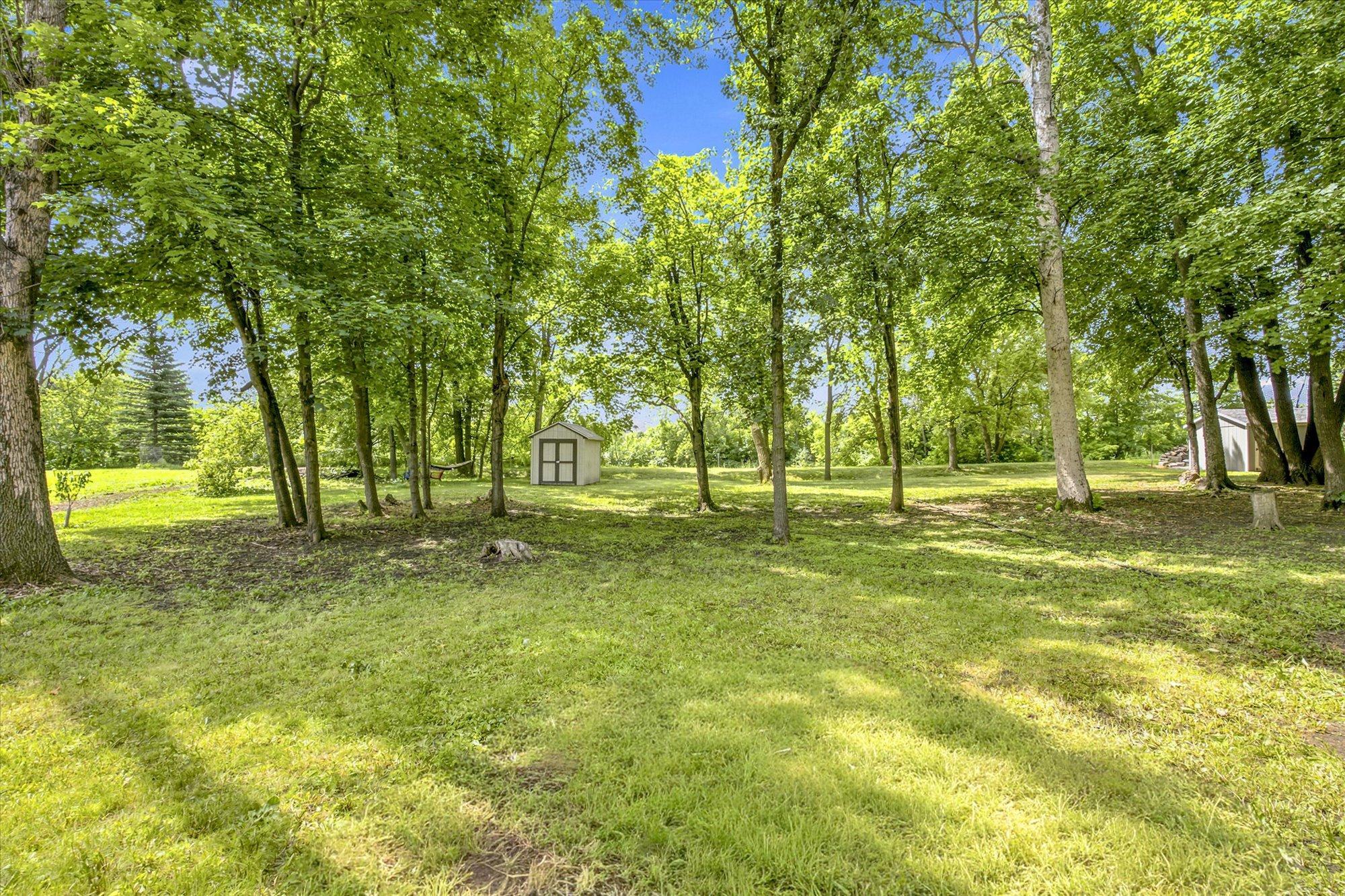 Huge wooded back yard