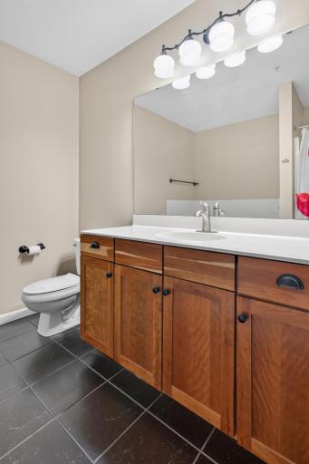 270 4th Street E, 102, Saint Paul, MN 55101
