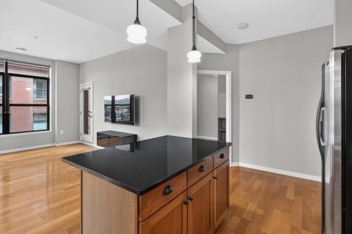 270 4th Street E, 102, Saint Paul, MN 55101