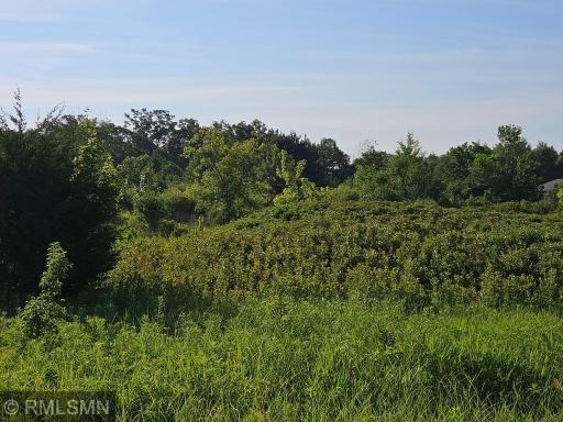 17XX Airwaves Road NE, Pine City, MN 55063