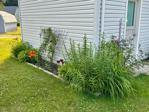 Perennials include hostas, peonies, lilies, clematis and a rose - just for starters!