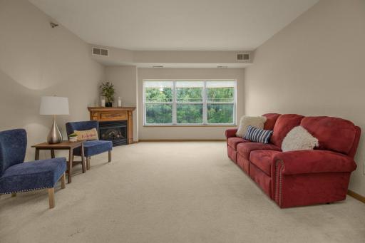 1341 Lake Drive W, B113, Chanhassen, MN 55317