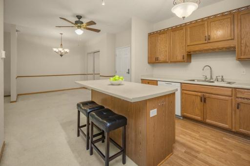1341 Lake Drive W, B113, Chanhassen, MN 55317