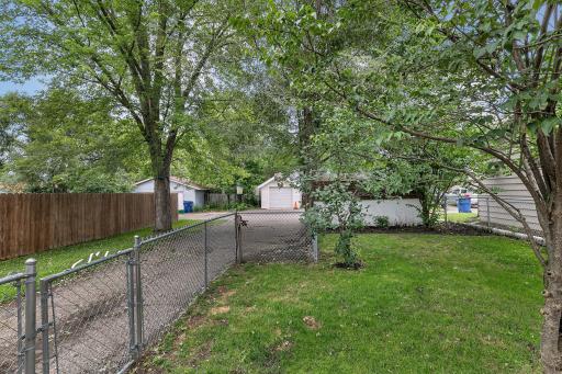 Chainlink back yard
