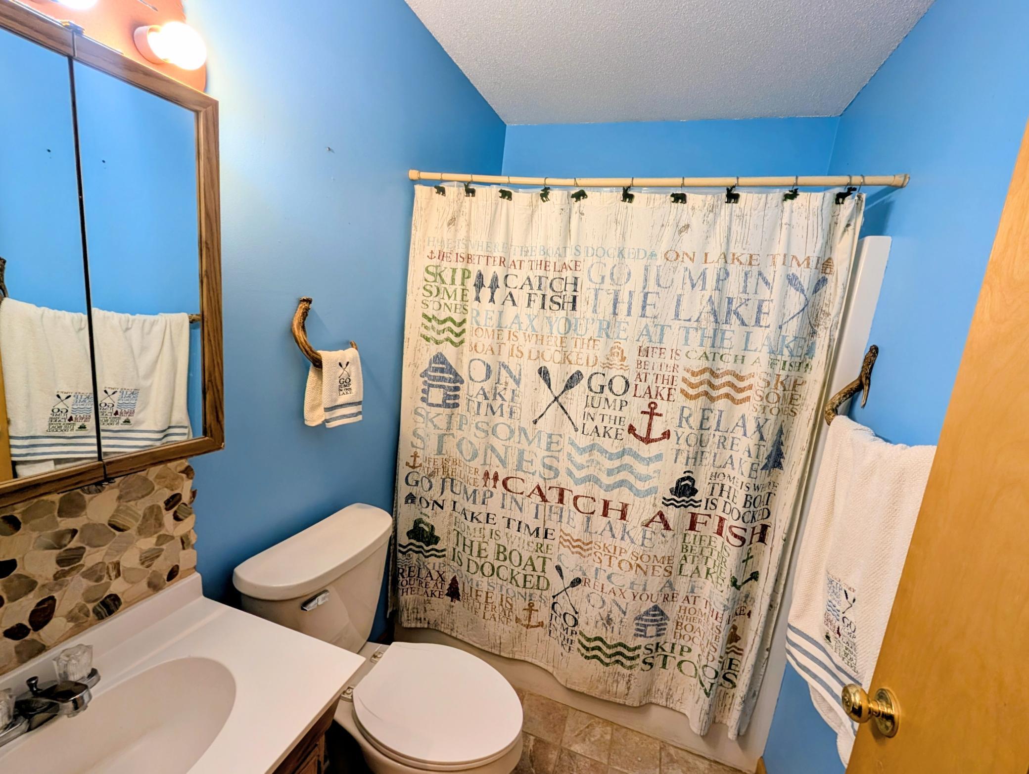 Bathroom lower level.jpg