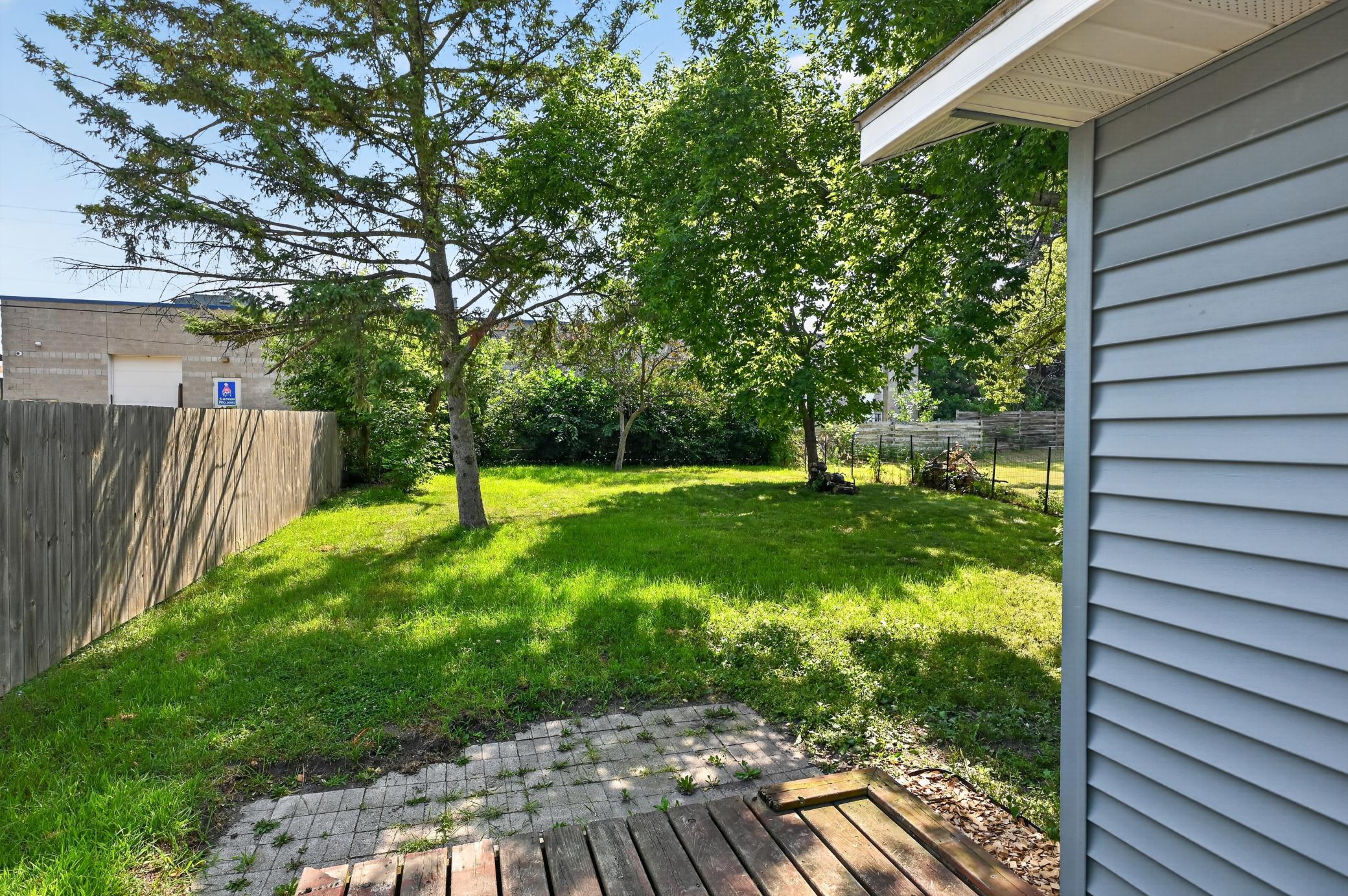 Backyard