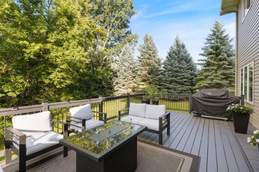 16096 Harmony Path, Lakeville, MN 55044