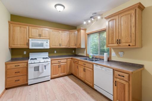 16096 Harmony Path, Lakeville, MN 55044