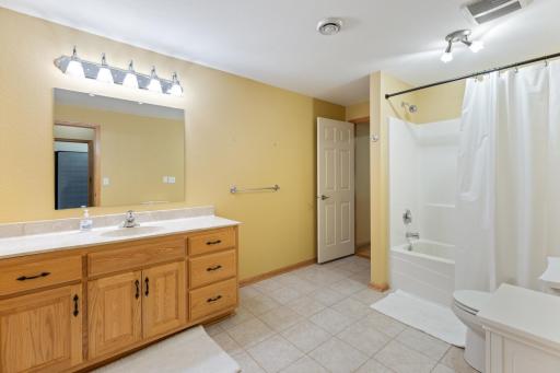16096 Harmony Path, Lakeville, MN 55044
