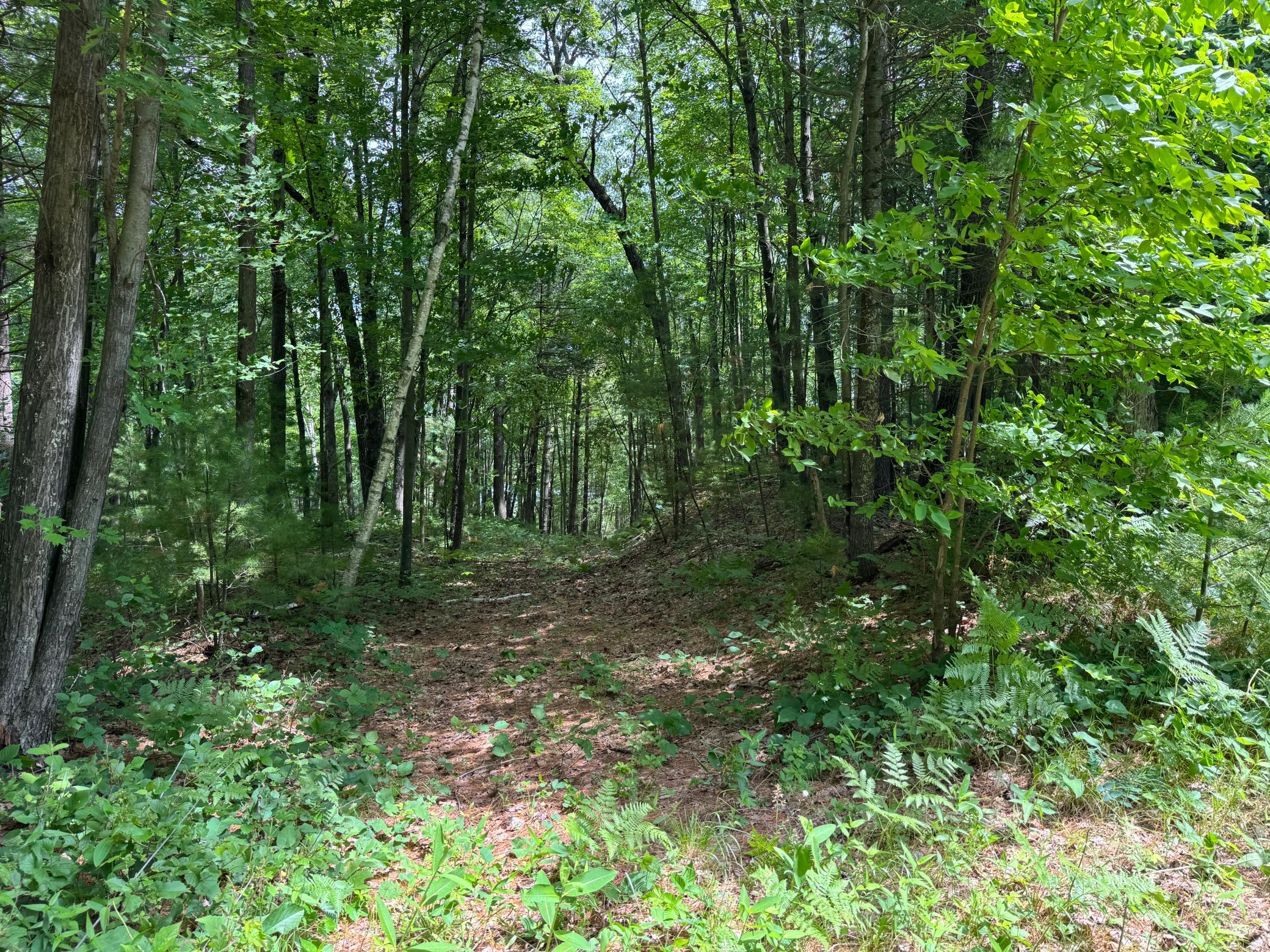 Property photo for TDB Garden Dr, Siren, WI 54872