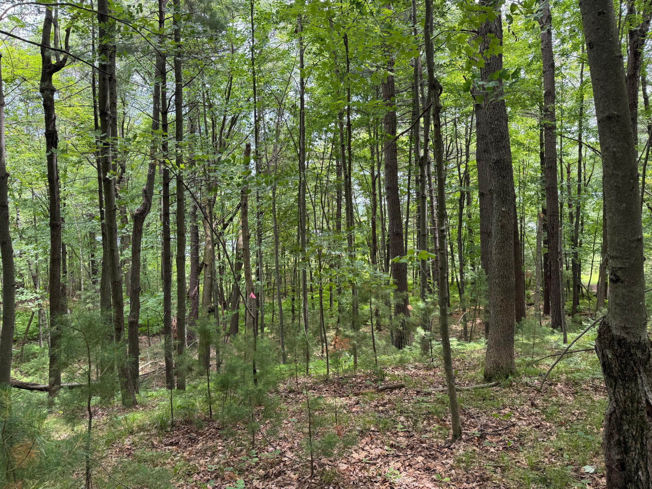 Property photo for TBD Garden Dr, Siren, WI 54872