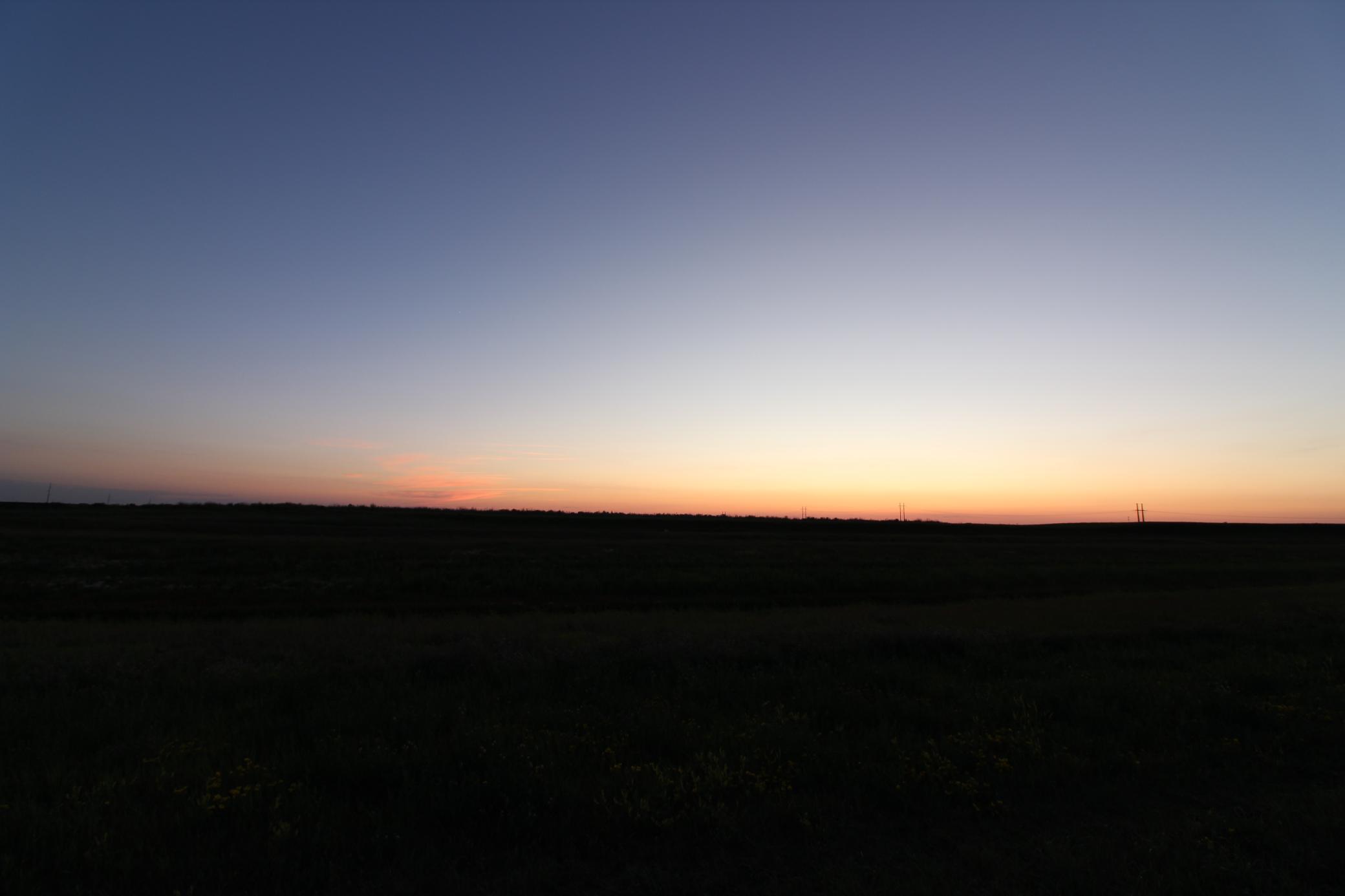 Back View Dusk