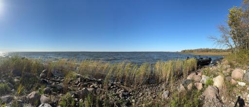 IMG_8788.jpg