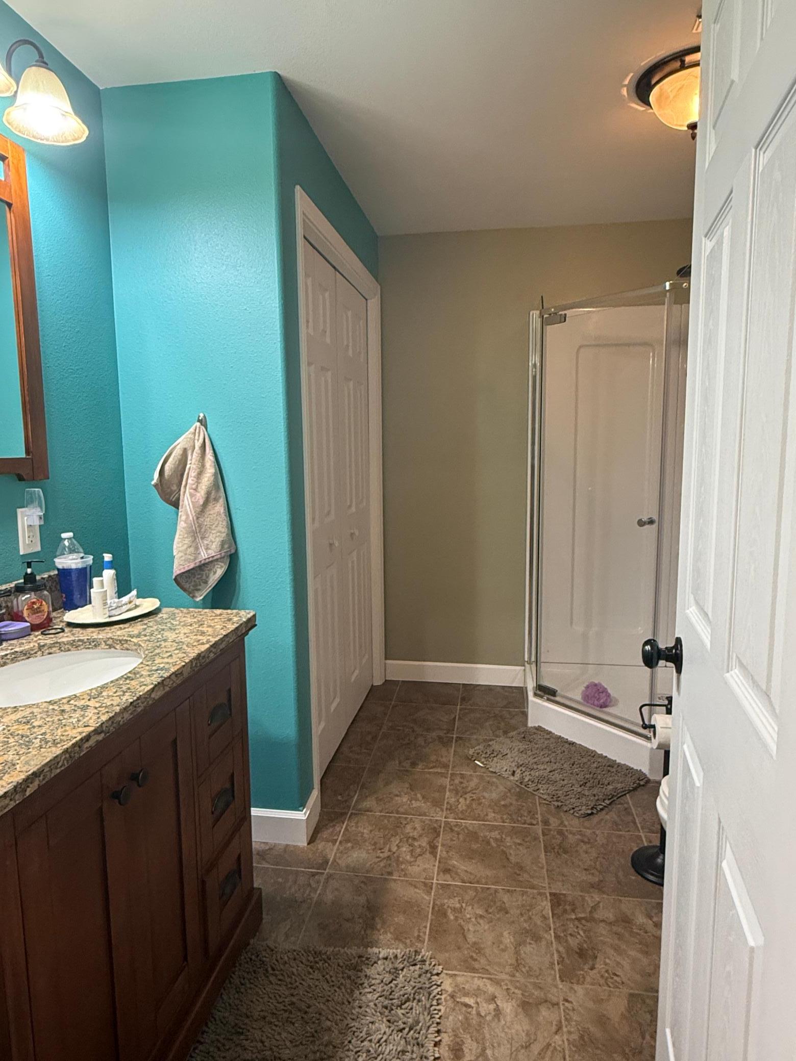Basement Bathroom