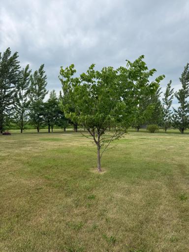 703 7th Street W, Ada, MN 56510