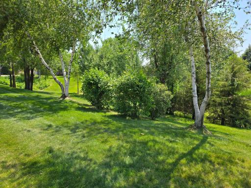 316 Wedgewood Circle, Hudson, WI 54016