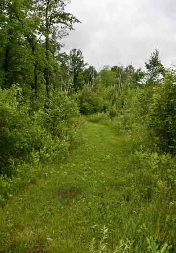 13591 230th Street, Milaca, MN 56353