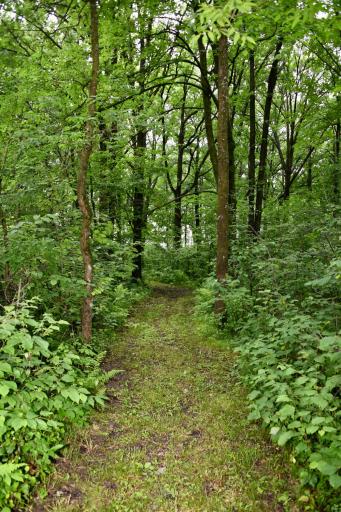 13591 230th Street, Milaca, MN 56353