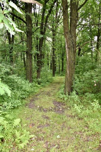 13591 230th Street, Milaca, MN 56353