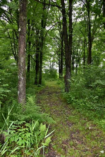 13591 230th Street, Milaca, MN 56353