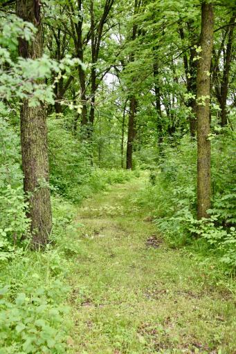 13591 230th Street, Milaca, MN 56353