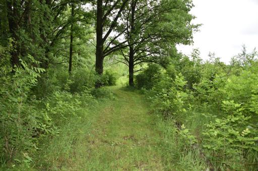 13591 230th Street, Milaca, MN 56353
