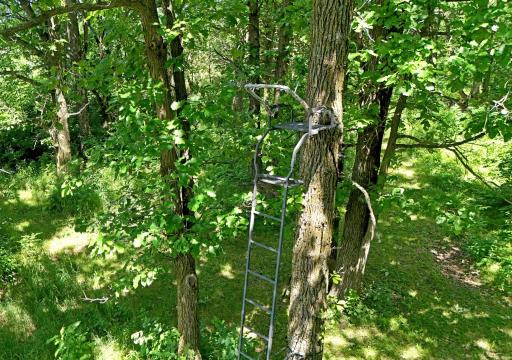 13591 230th Street, Milaca, MN 56353
