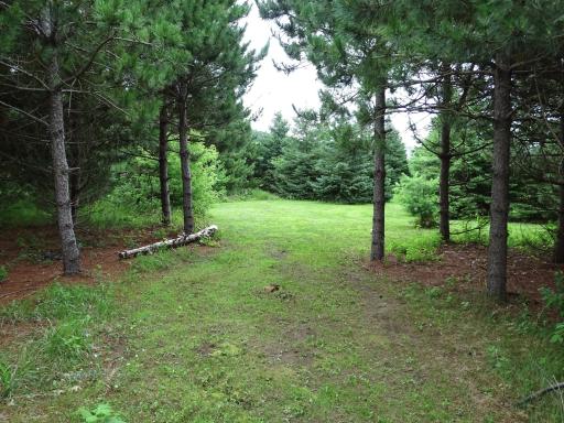 N1041 Prairie Rose Drive, Pepin, WI 54759
