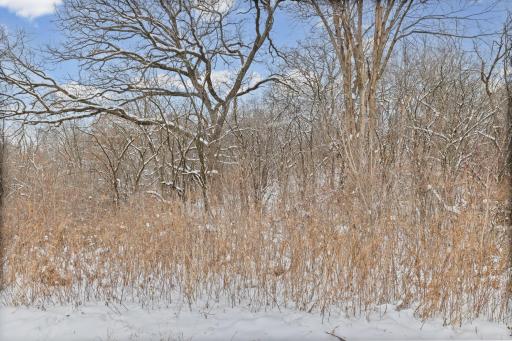 2685 Carver Avenue E, Saint Paul, MN 55119