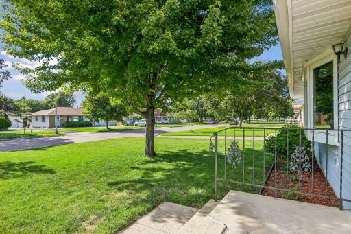 South facing front yard for bright sunny days