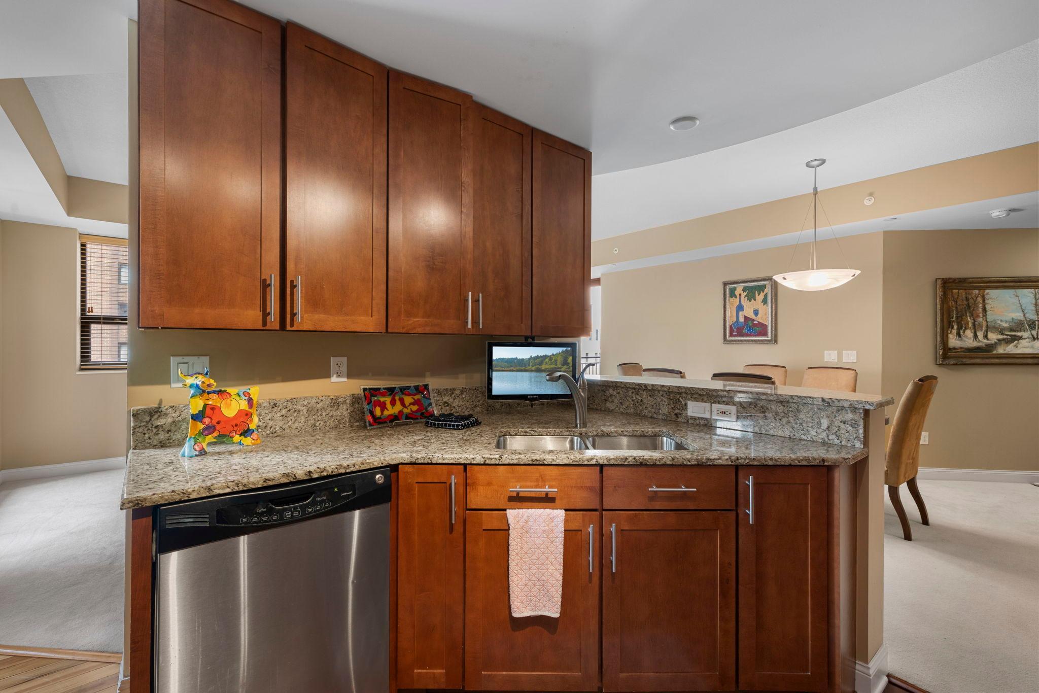 32-web-or-mls-100 3rd Ave S 705-75.jpg