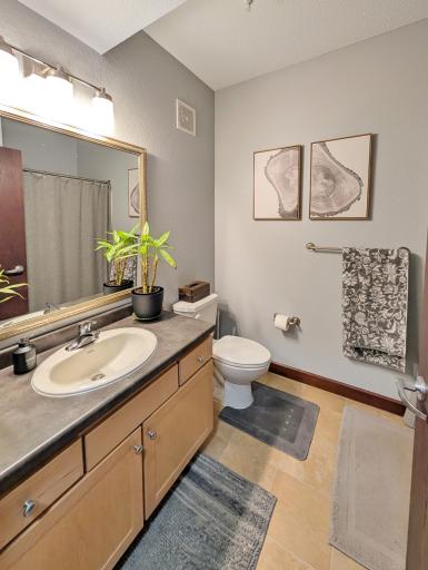 308 E 18th Street, 305, Minneapolis, MN 55404